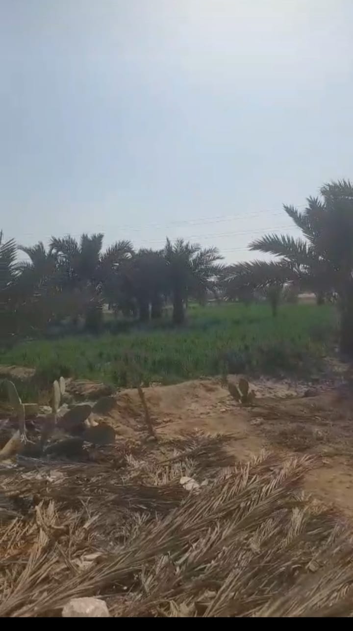 رئيس مياه الفيوم: لاتهاون مع المخالفين .. ضبط 278 حالة خلسة وتنفيذ حملات تفتيش موسعة