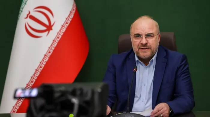 <strong>رئيس البرلمان الإيراني</strong>