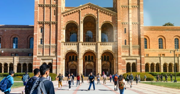 <strong>جامعة كاليفورنيا</strong>