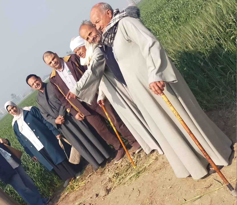 متابعة ميدانية مكثفة لحقول القمح بطامية وتوصيات هامة للمزارعين خلال مرحلة طرد السنابل<br>&nbsp;