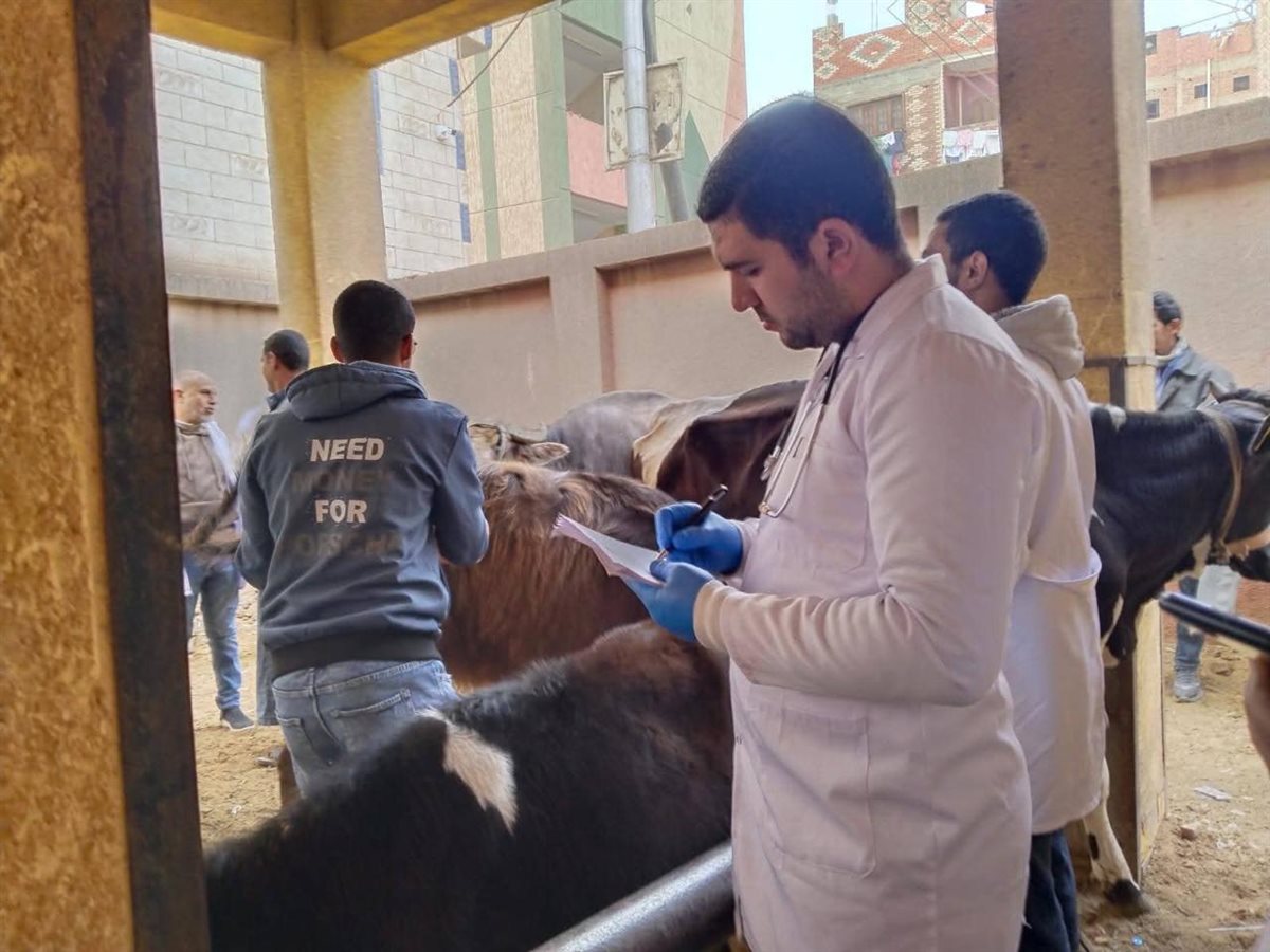 جانب من القوافل الطبية&nbsp;