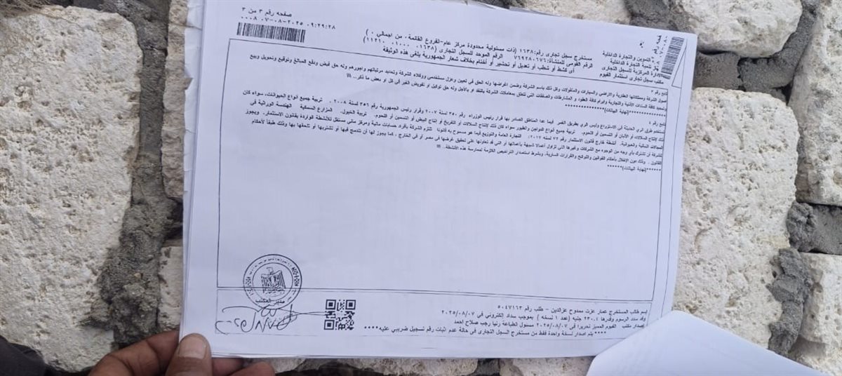 المزرعة مرخصة ومستأجرة لمستثمر سعودى... إزالها باللودر على البط بقرية الناصرية