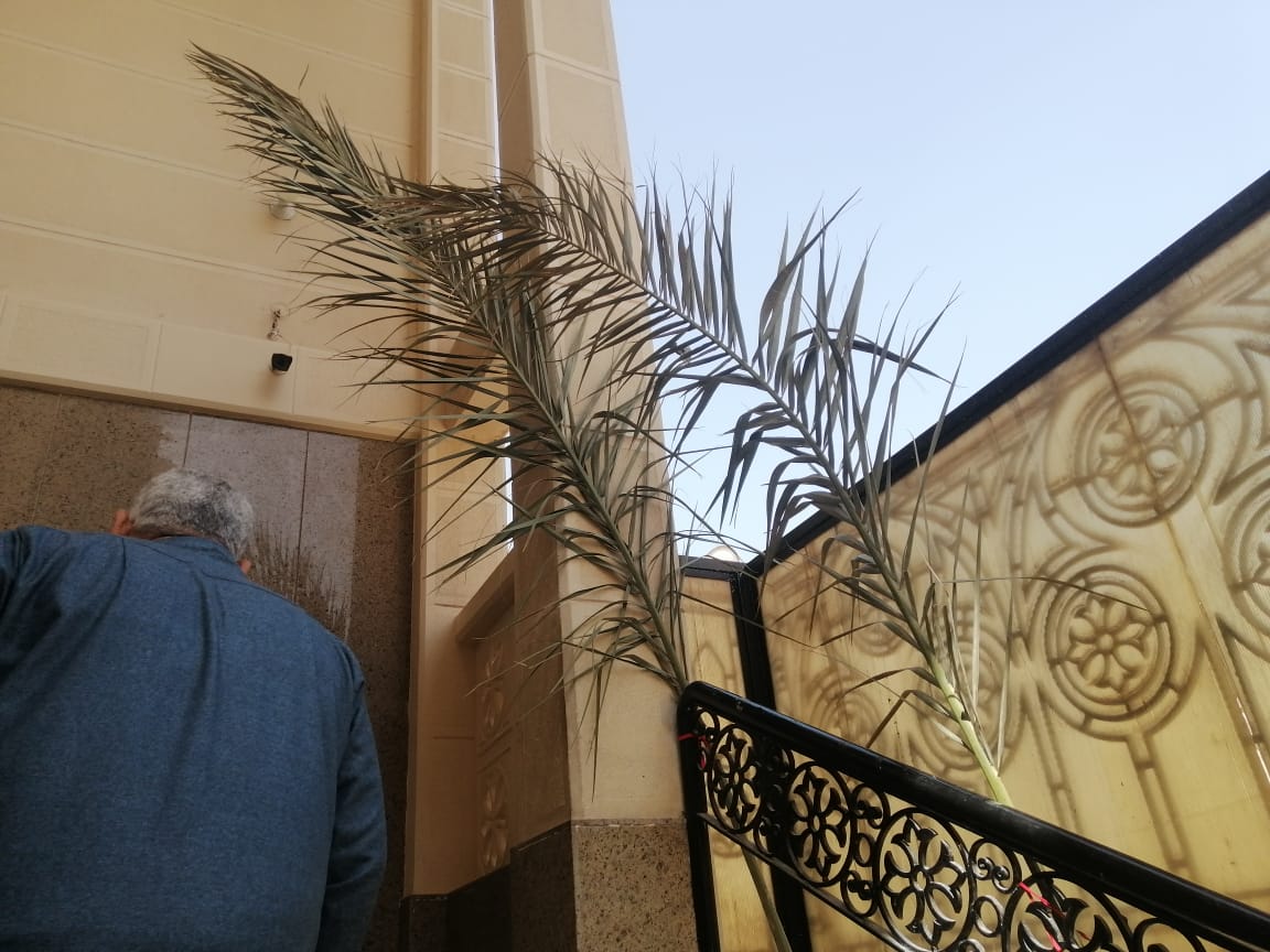 كنائس الفيوم تحتفل بعيد أحد الشعانين والآلاف يشاركون في الصلاة بسعف النخيل