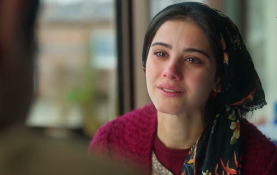مسلسل أنت من أحببت