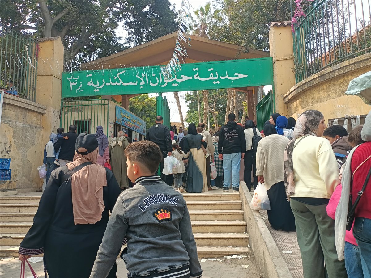 جانب من الحديقة