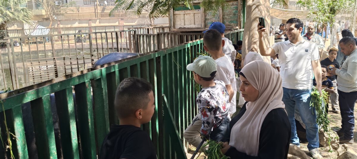 إقبال متوسط على حديقة الحيوان بالفيوم خلال احتفالات شم النسيم