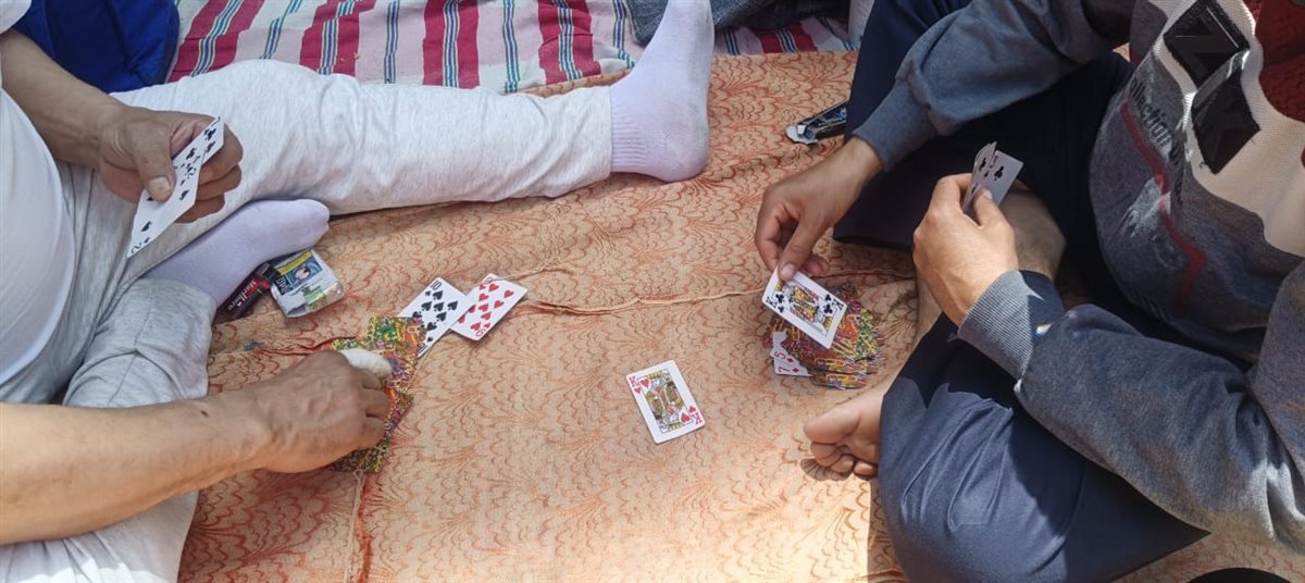 بيلعبوا كوتشينة على الأرض بحديقة حيوان الفيوم.. شم النسيم حاجة تانية