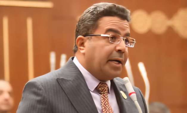 النائب باسل عادل