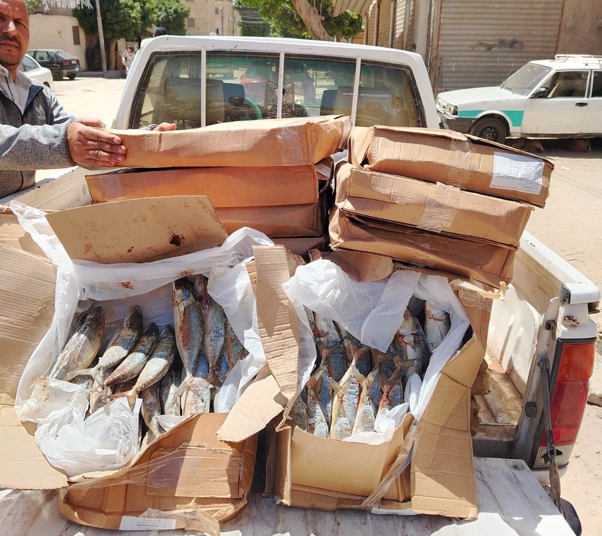 تموين الفيوم يضبط 240 كيلو سمك ماكريل مجمد منتهي الصلاحية<br>&nbsp;