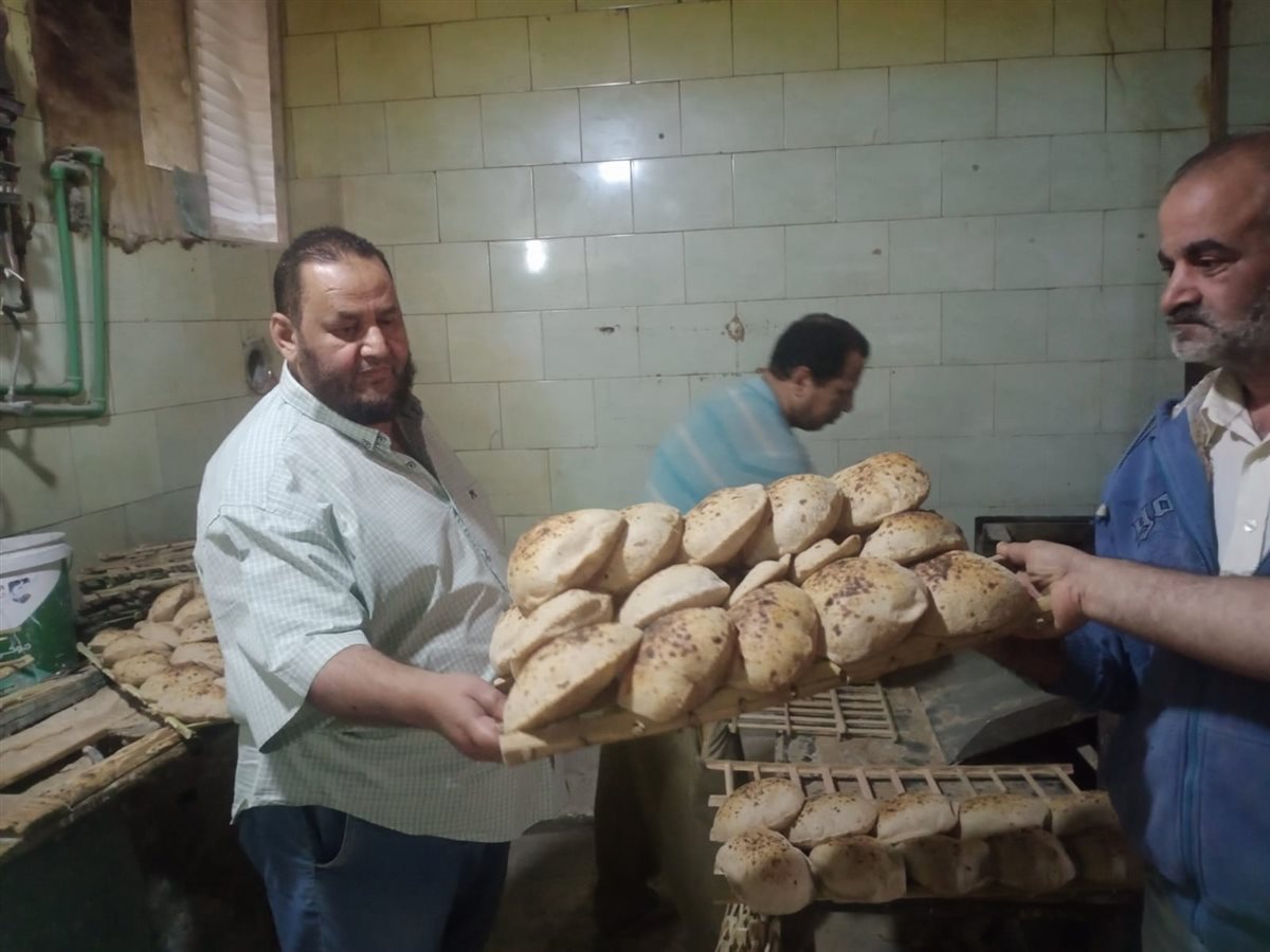تموين الفيوم يضبط 240 كيلو سمك ماكريل مجمد منتهي الصلاحية<br>&nbsp;