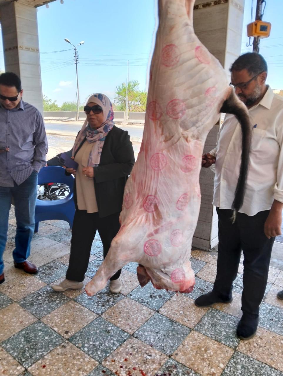 جانب من الحملات المكثفة