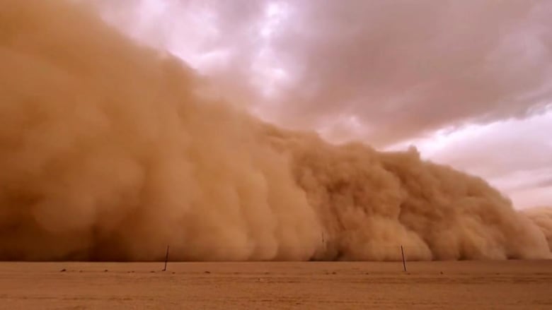 حالة الطقس الآن في مصر