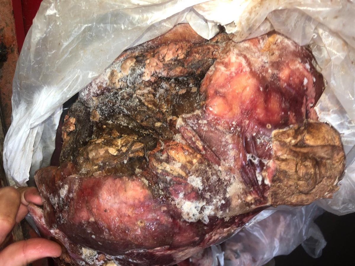 مديرية تموين الفيوم ضبط 1332 كيلو لحوم فاسدة وغير صالحه للأستهلاك الادمي والحيواني