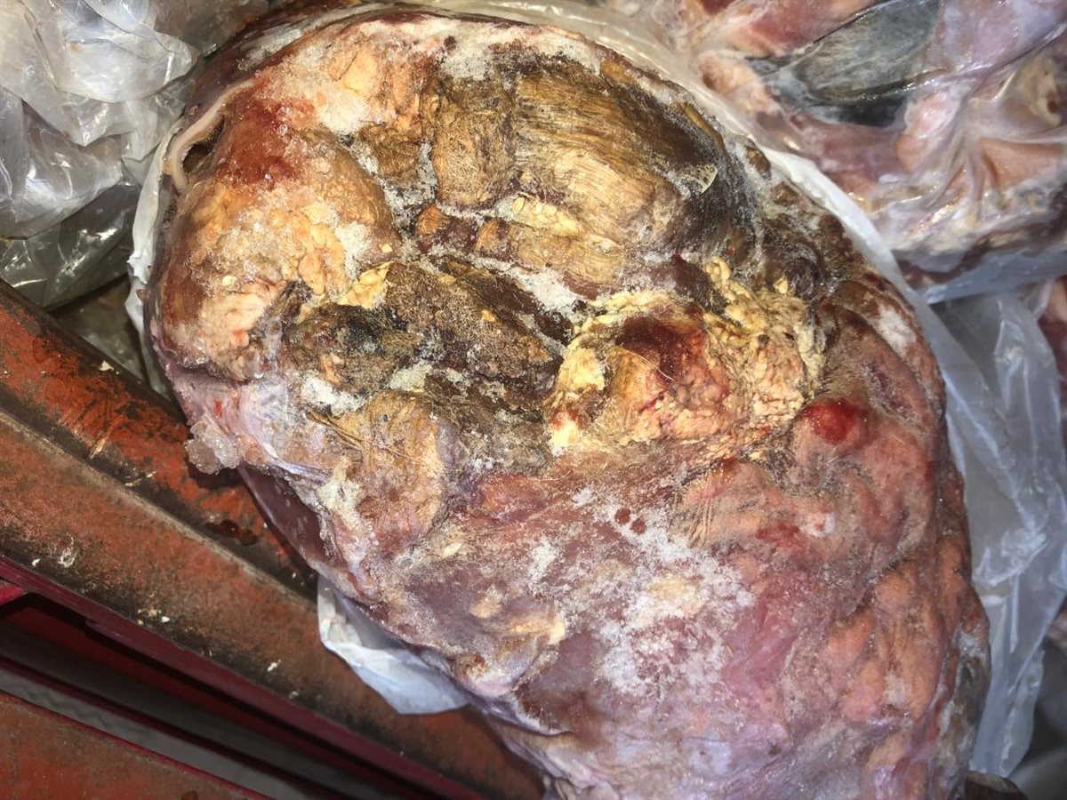 مديرية تموين الفيوم ضبط 1332 كيلو لحوم فاسدة وغير صالحه للأستهلاك الادمي والحيواني