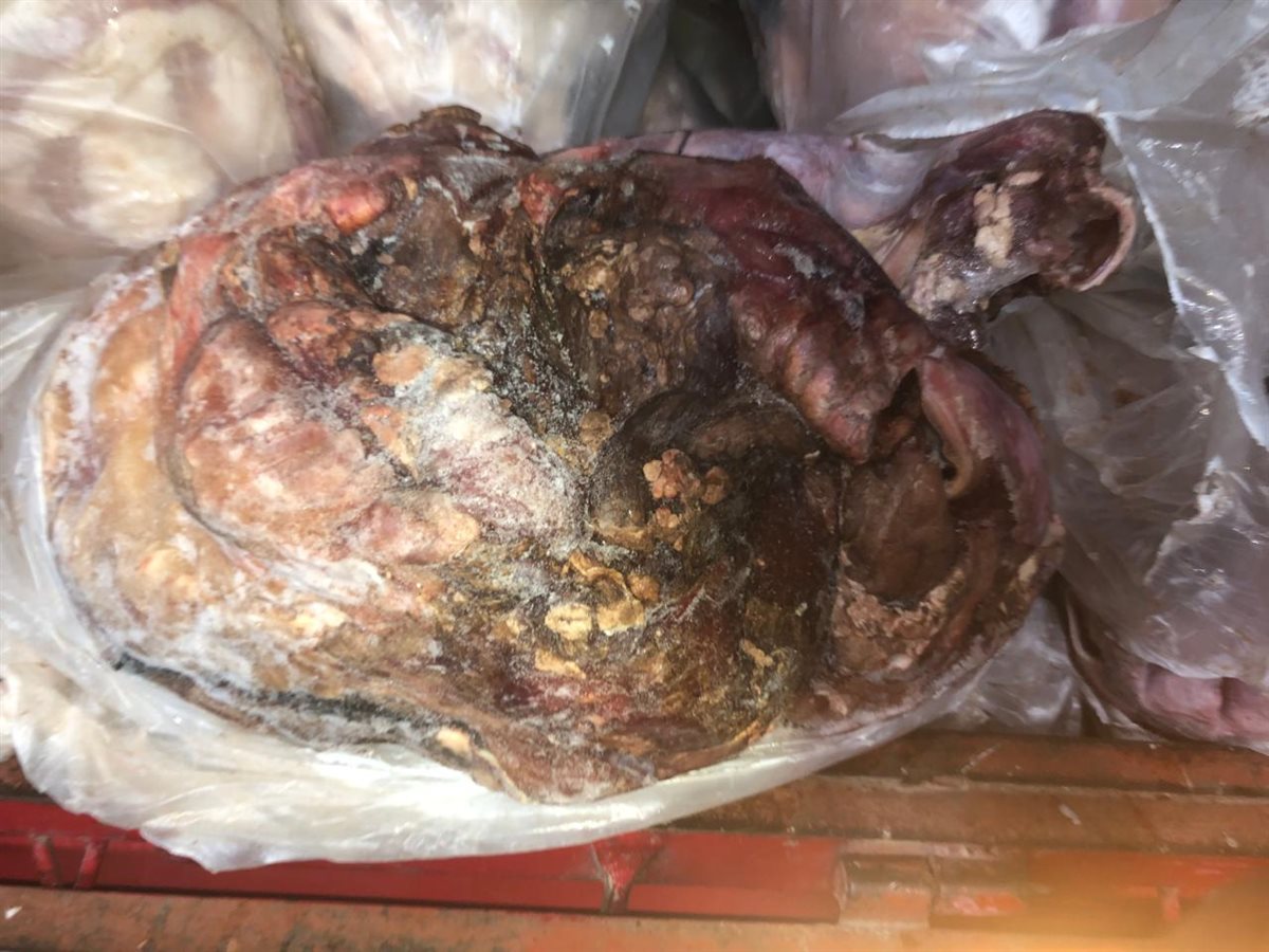 مديرية تموين الفيوم ضبط 1332 كيلو لحوم فاسدة وغير صالحه للأستهلاك الادمي والحيواني