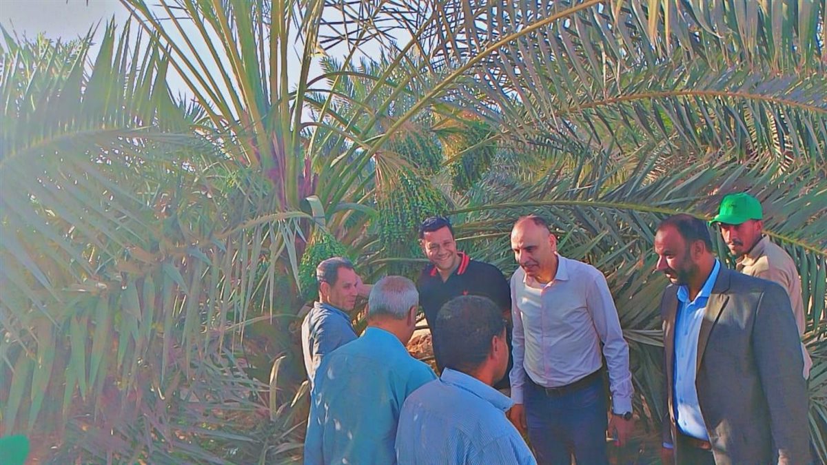 جانب من التواجد الميداني