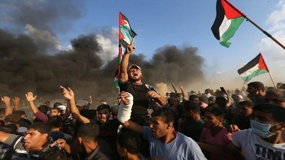 فلسطين