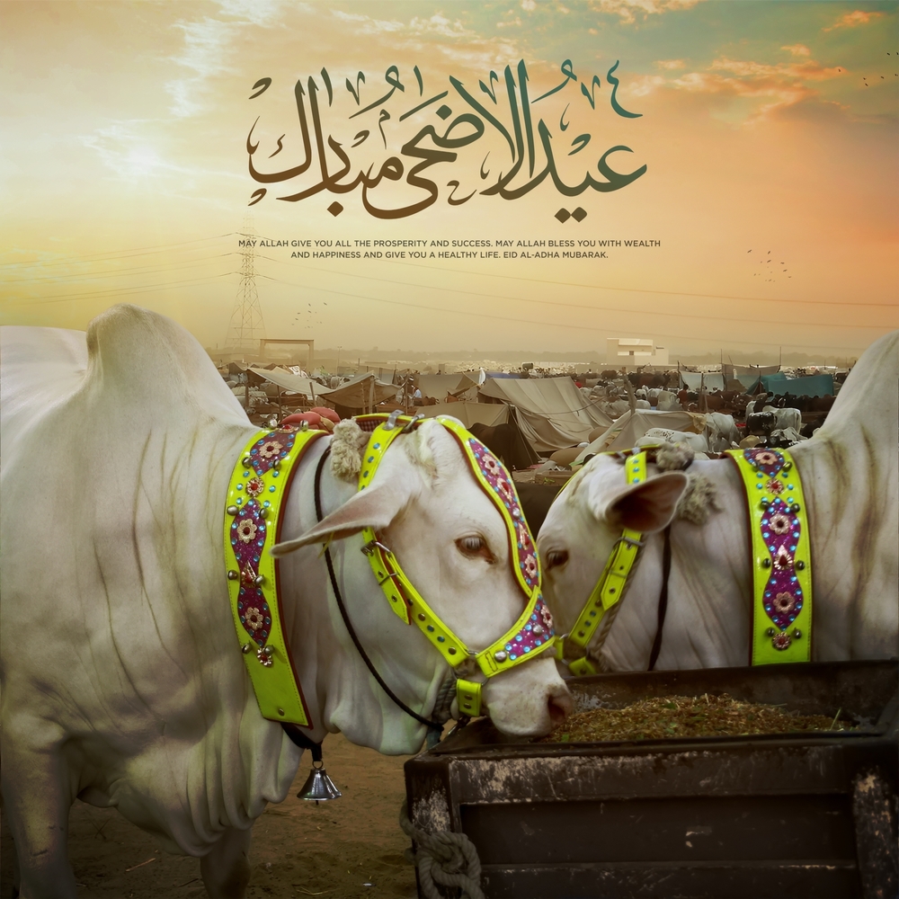 باقي كم يوم على عيد الأضحى