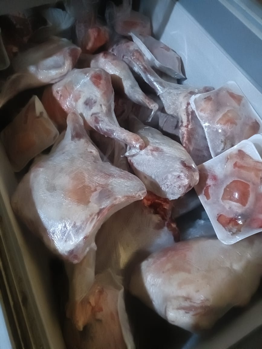 جانب من المضبوطات