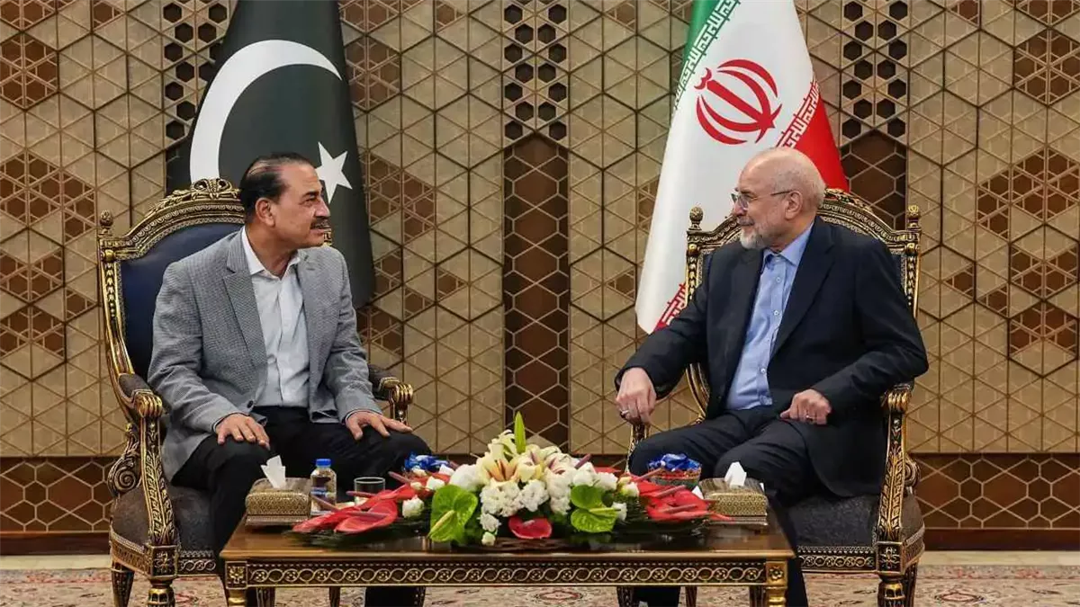<strong>قائد الجيش الباكستاني ورئيس البرلمان الإيراني</strong>