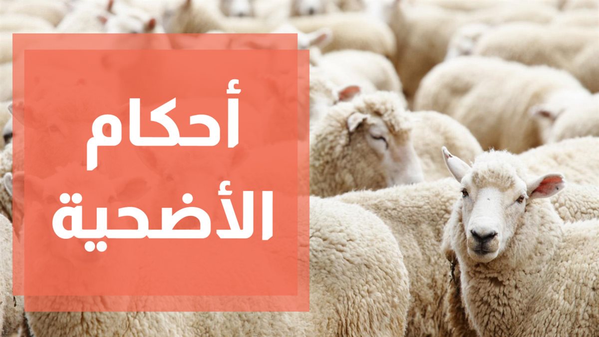 ما حكم الدعاء عند ذبح الأضحية؟