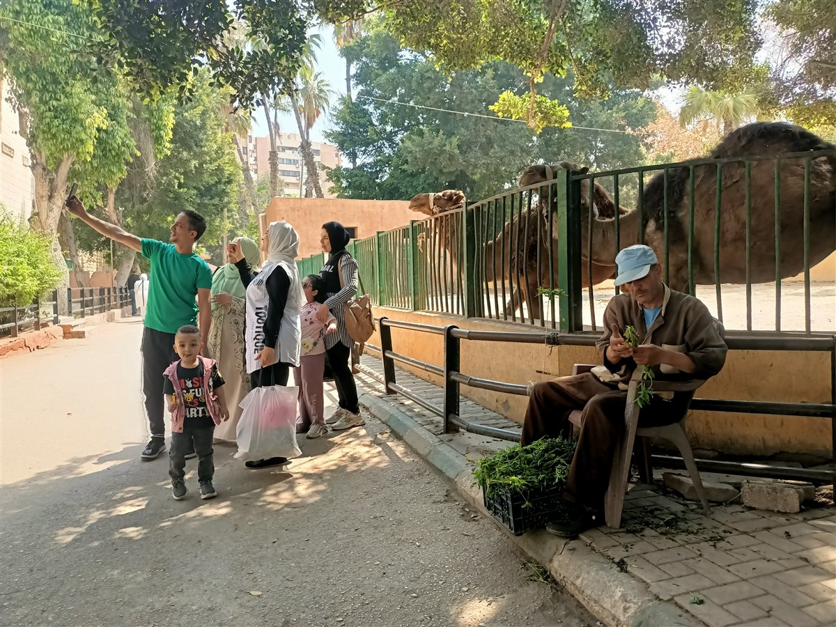 جانب من الحديقة