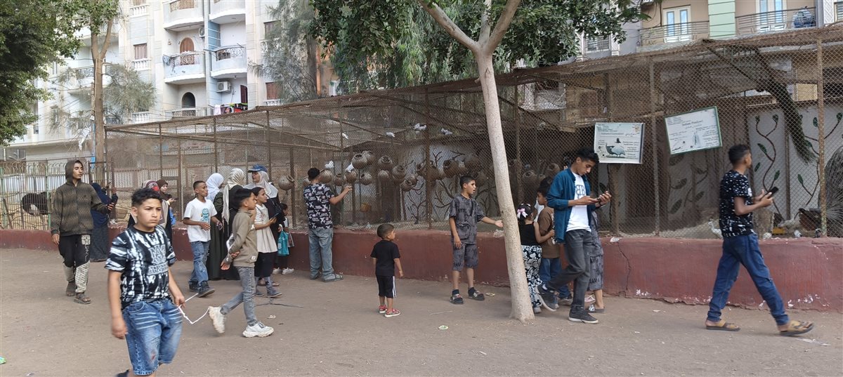 بسبب الحر..إقبال ضعيف من المواطنين على حديقة حيوان الفيوم.. في ثاني أيام العيد