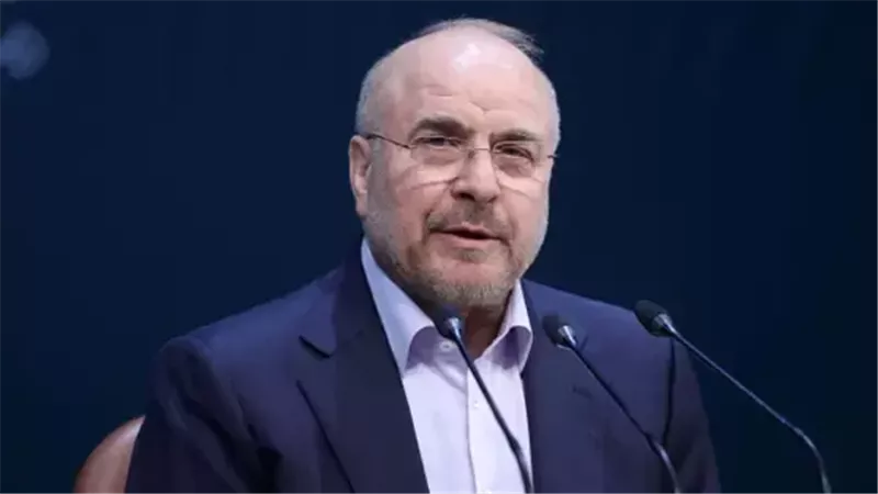 <strong>كبير المفاوضين الإيرانيين محمد باقر قاليباف</strong>