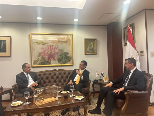 <strong>وزير الخارجية يلتقي رئيس لجنة العلاقات الخارجية بالحزب الليبرالي الديمقراطي الحاكم</strong>