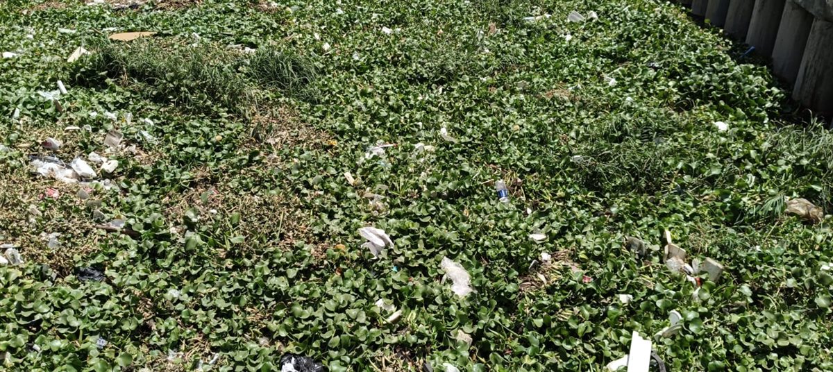 أهالي الفيوم يستاؤون من كميات ورد النيل والقمامة التي تملأ بحر يوسف.. 