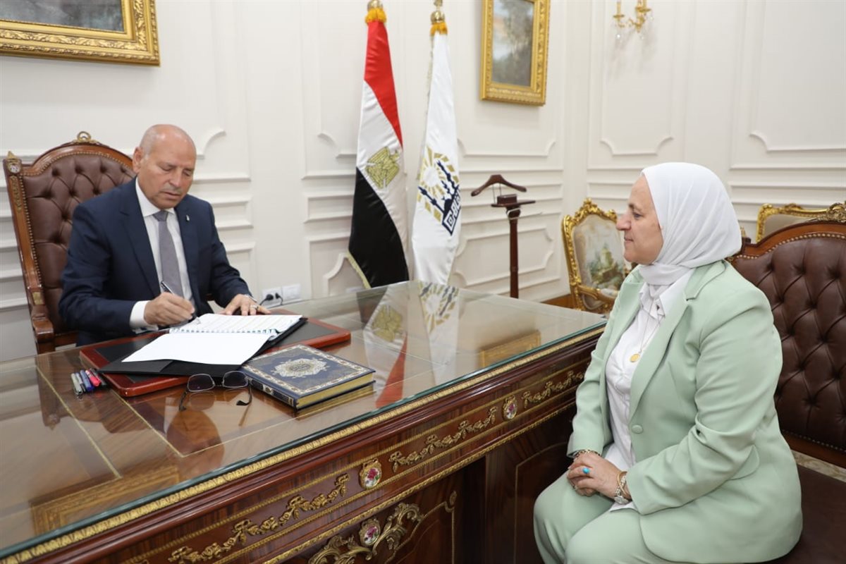 محافظ القاهرة