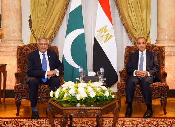 <strong>وزير الخارجية يستقبل نائب رئيس الوزراء ووزير خارجية باكستان</strong>