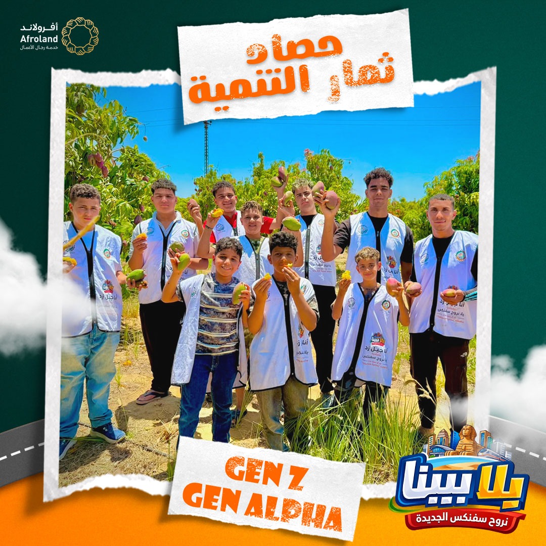 مؤسسة أفرولاند