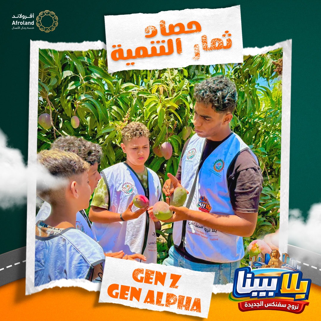 مؤسسة أفرولاند