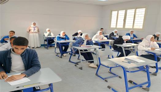 بدائل الثانوية العامة 2026