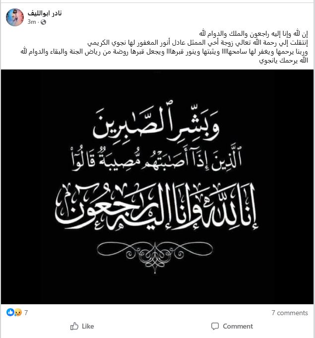 نادر أبو الليف