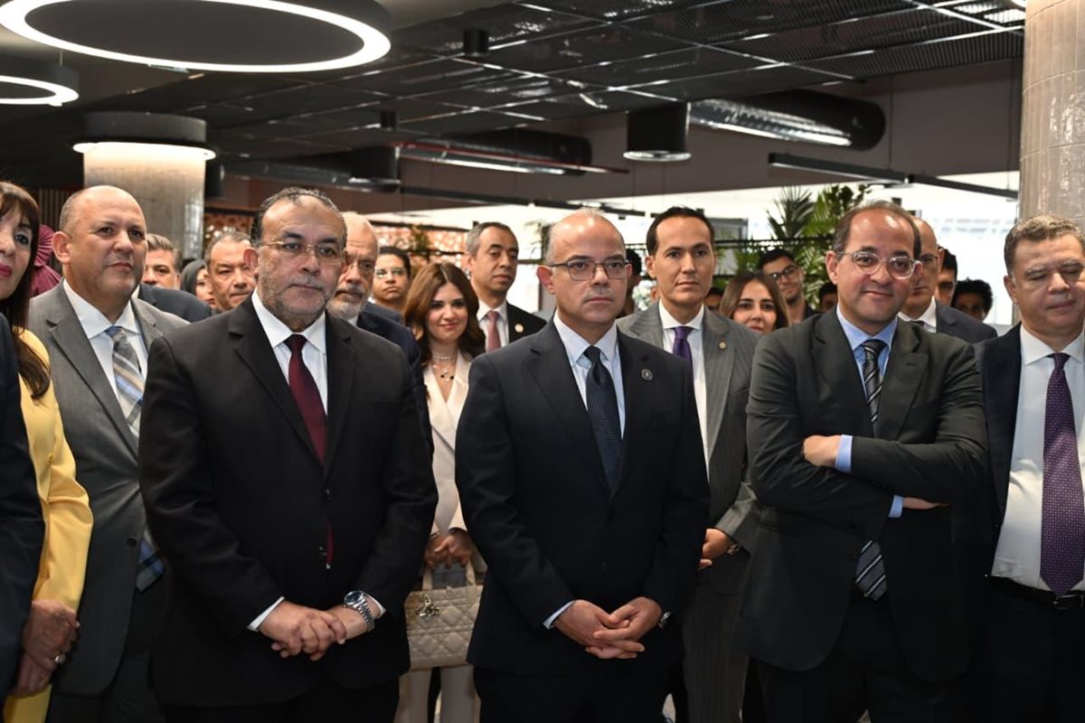 وزير الاستثمار