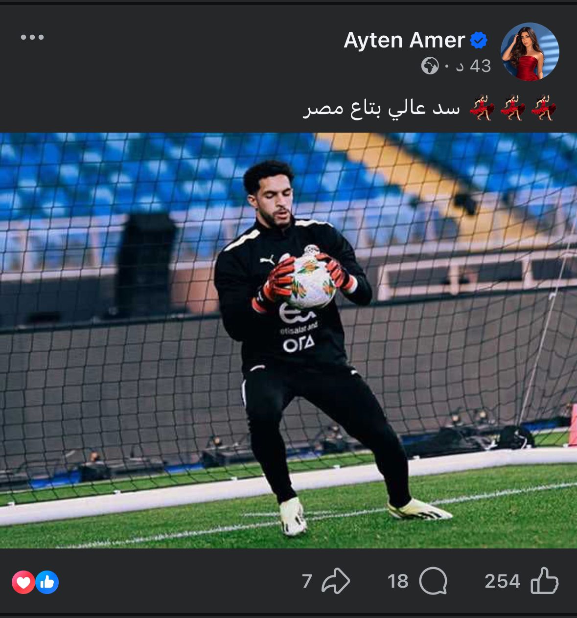 آيتن عامر