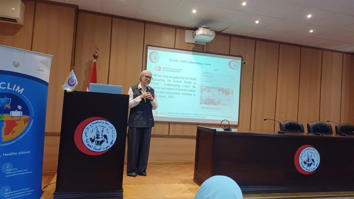 الصحة الحيوانية