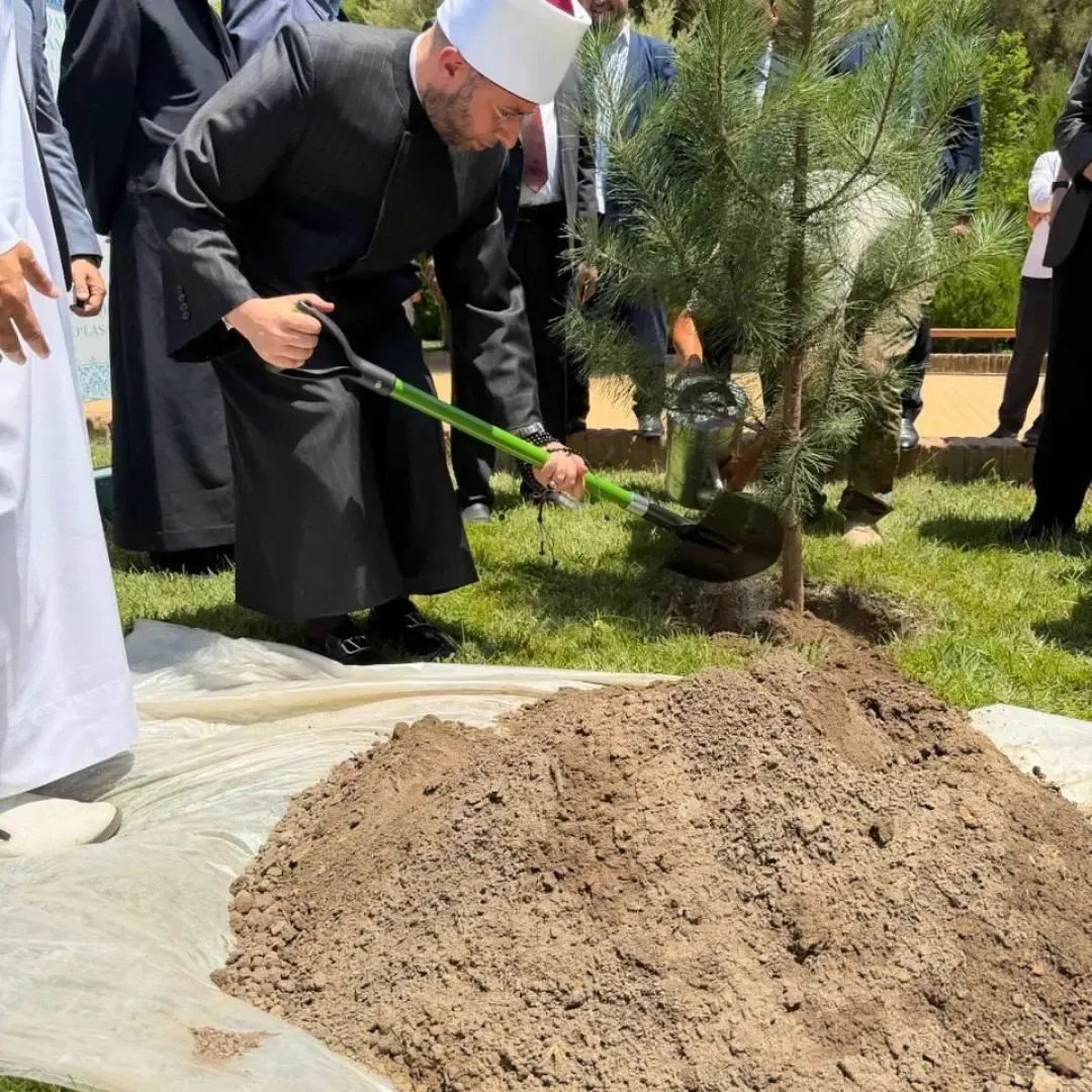 وزير الأوقاف يغرس «الشجرة المصرية» بجانب مرقد الإمام الحكيم الترمذي
