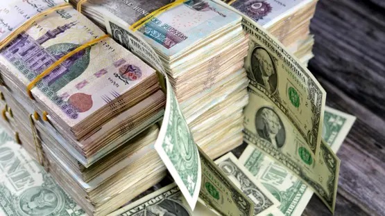 سعر الدولار اليوم مقابل الجنيه المصري