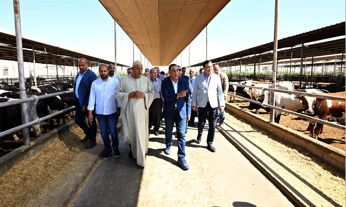 &nbsp;مزرعة 