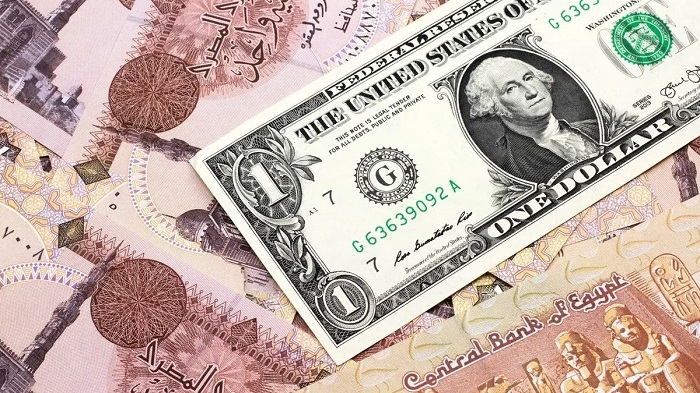 سعر الدولار اليوم أمام الجنيه المصري