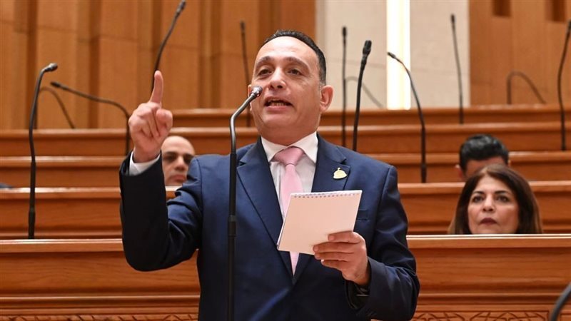 عضو مجلس النواب، النائب فريدي البياضي