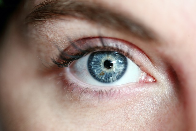 eyes