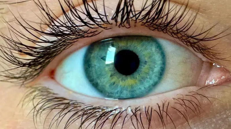 eyes