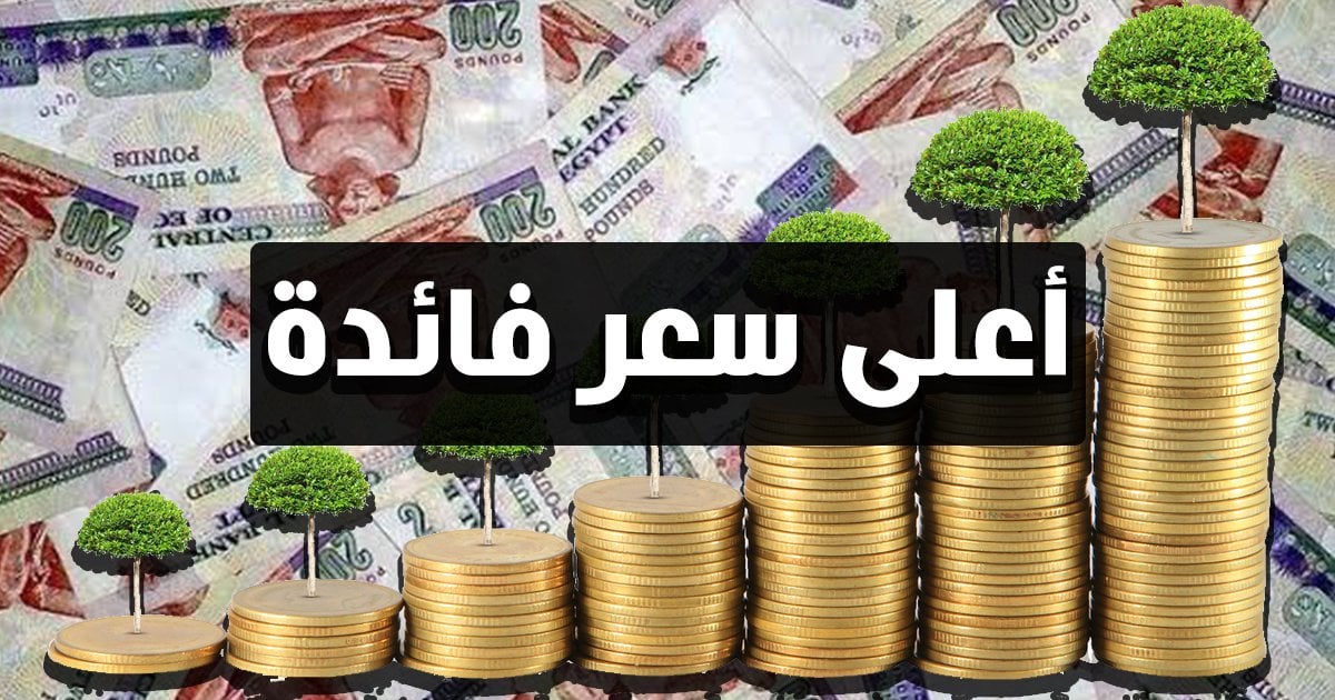 <strong>أعلى عوائد شهادات الادخار في البنوك المصرية</strong>