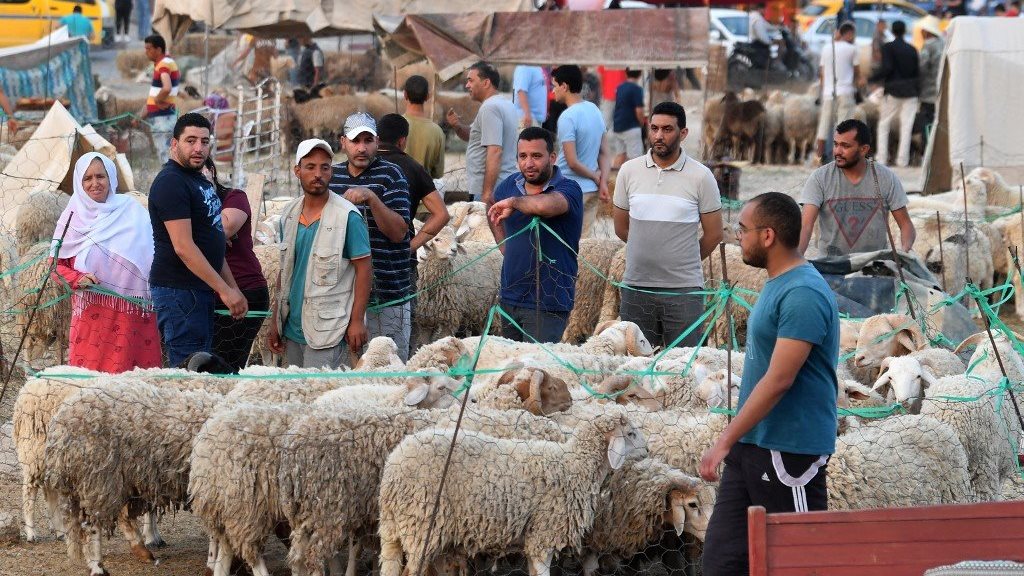 عيد الأضحى