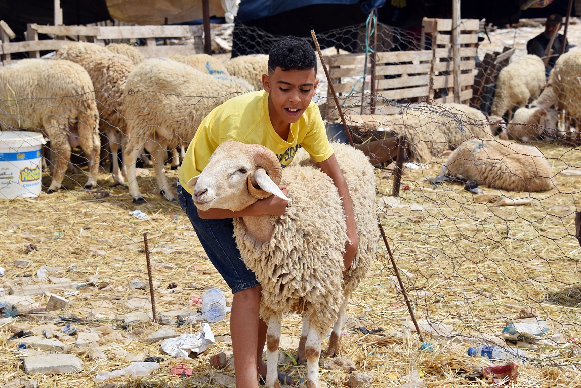 <strong>موعد وقفة عرفات وعيد الأضحى 2025</strong>