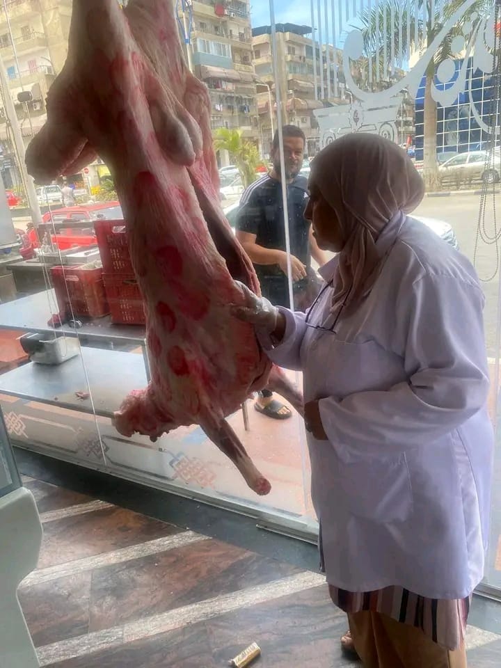 جانب من الحملة